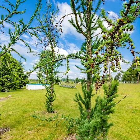 Zum Reiterhof Campsite